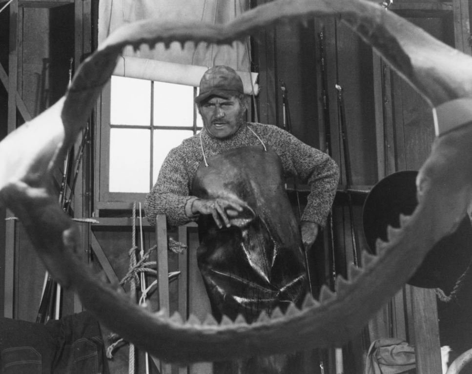 Jaws