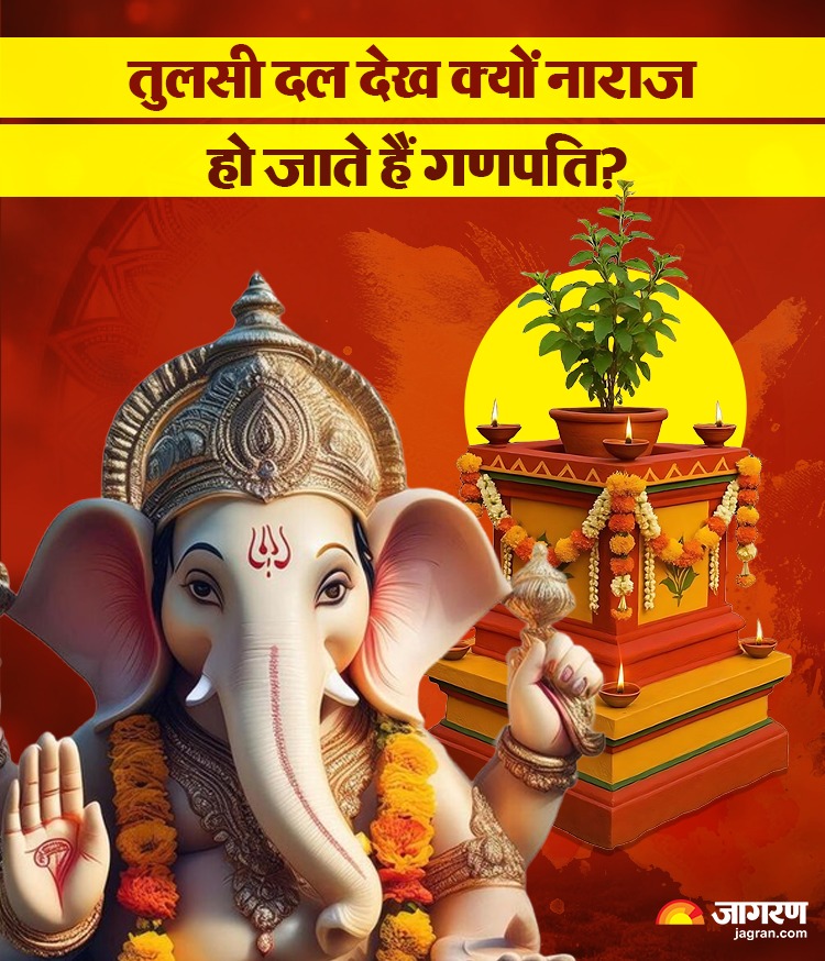 WhatsApp Image 2026-04-10 at 2.52.28 PM