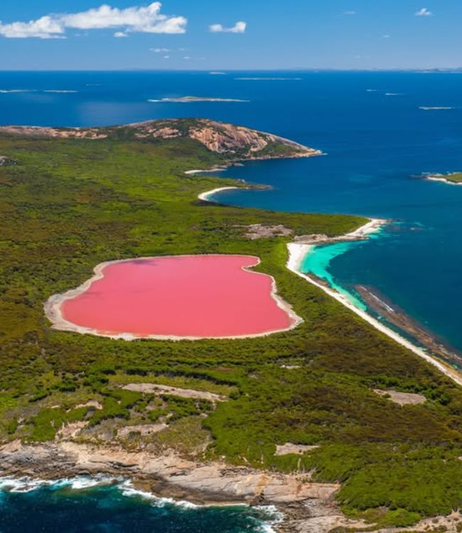 Lake Hillier (1)