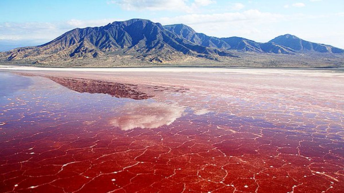 Lake Natron (1)