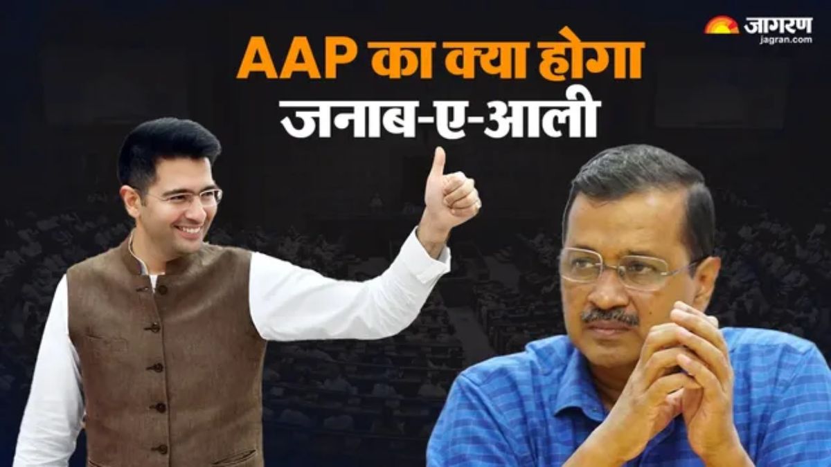 AAP raghav chadha