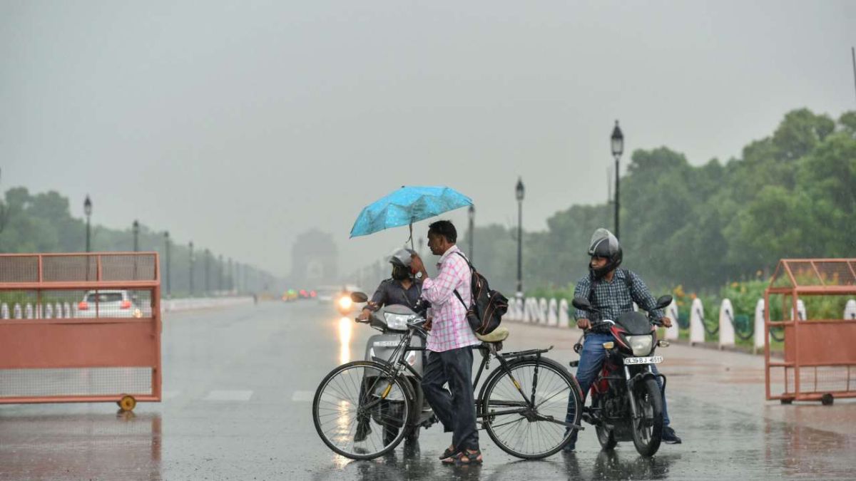 Rain (9)
