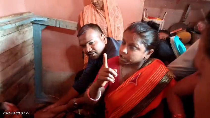 Koderma Shav