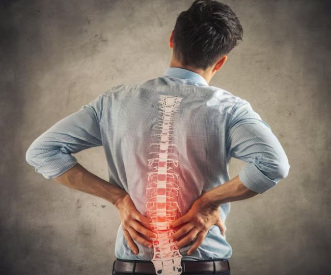 Chronic back pain causes