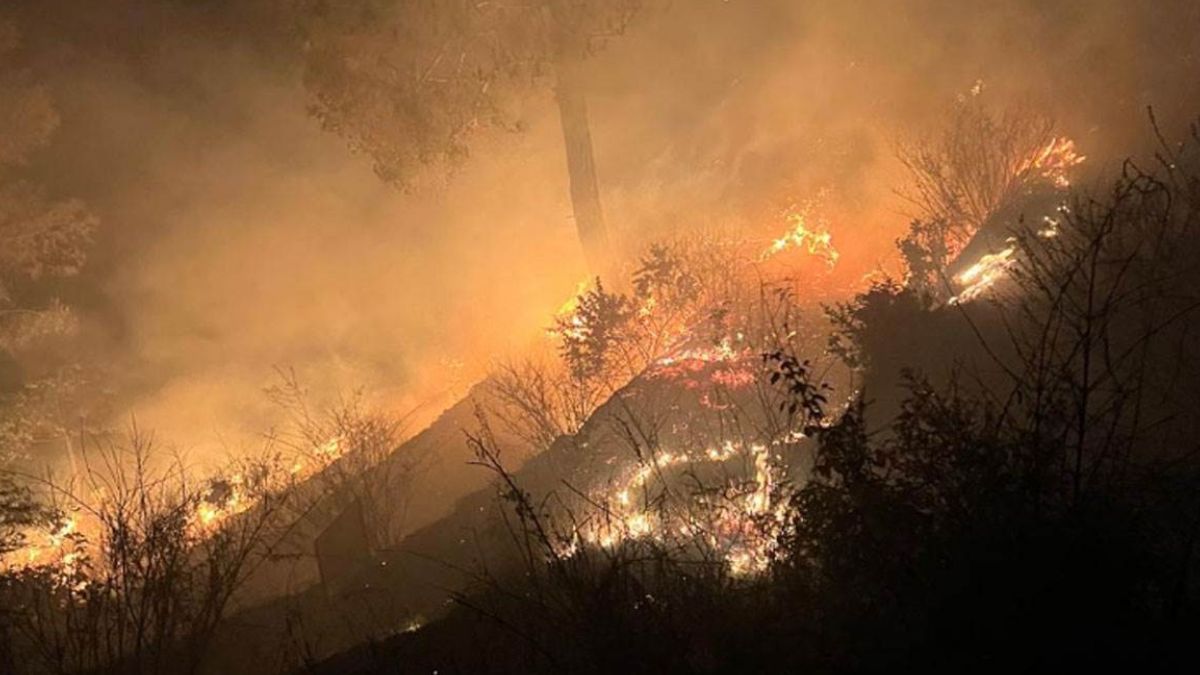 fire news (2)