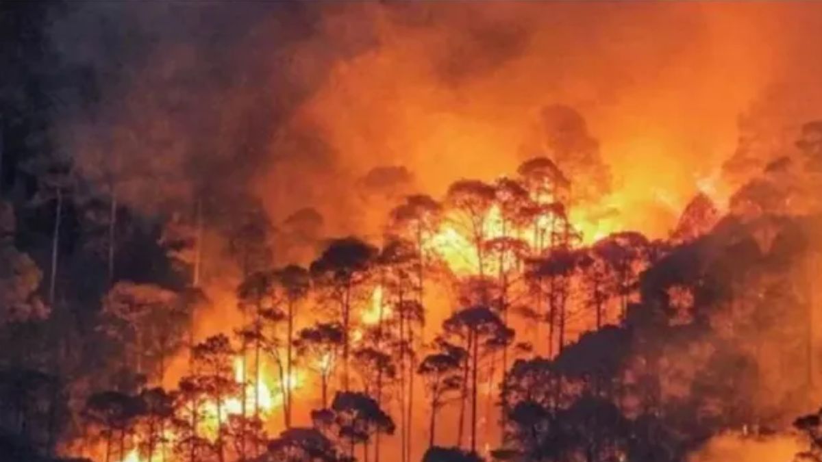 fire news