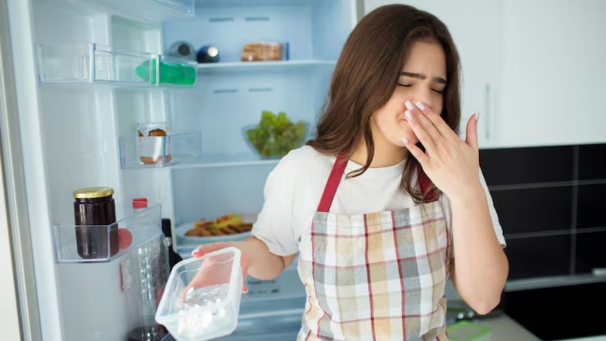 Refrigerator Cleaning tips (1)