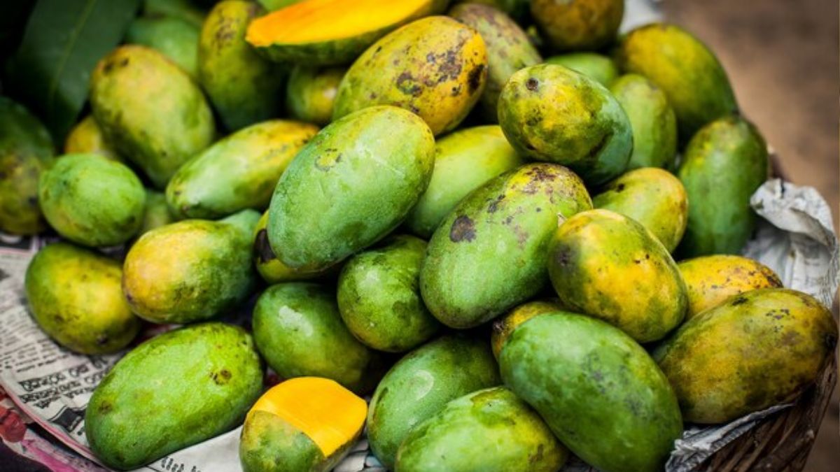 Chemically Ripened Mango (2)