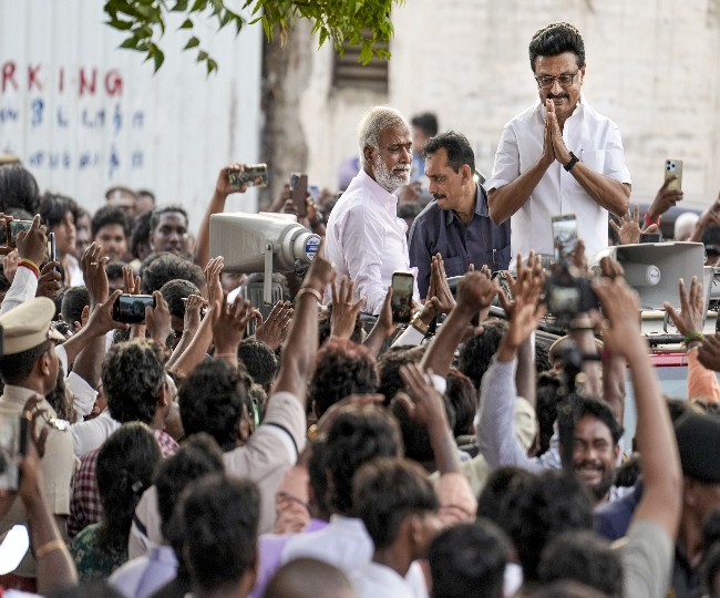 dmk (1)