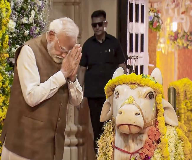 modi (31)