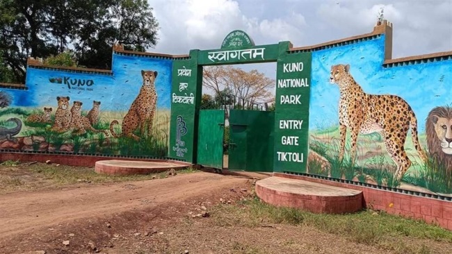 KNP 25695