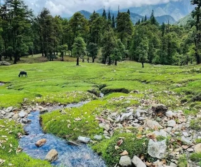 Beautiful view of Chopta