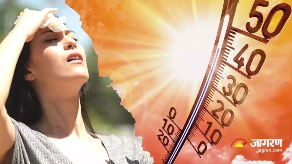 heatwave (3)