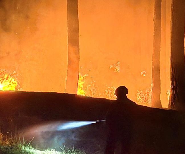 Bageshwar forest fire