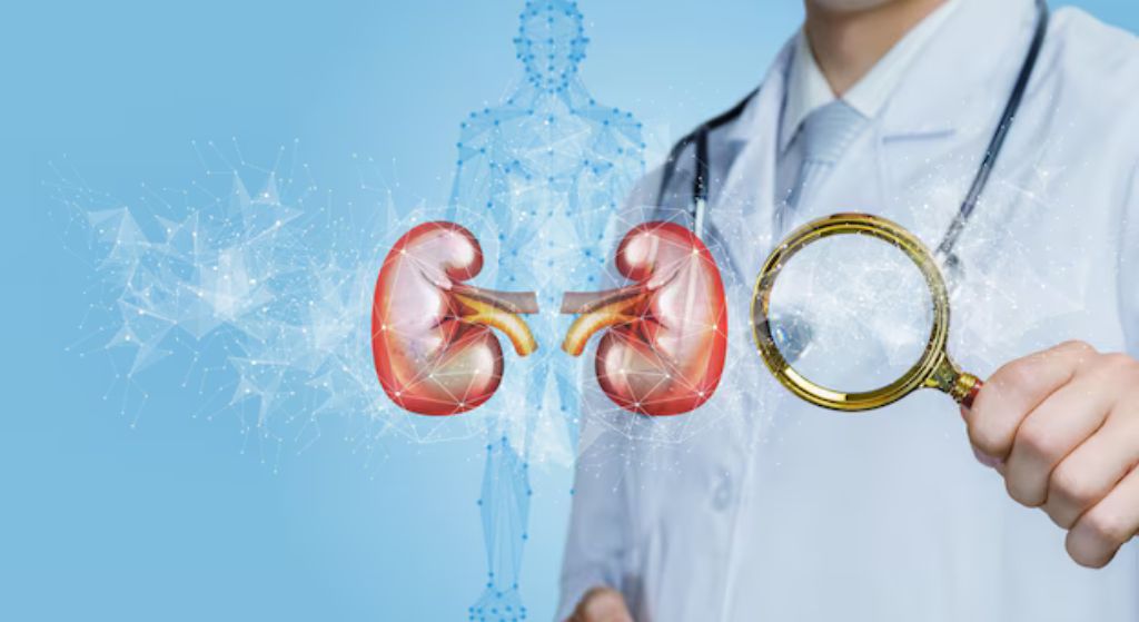 treatment of kidney disease