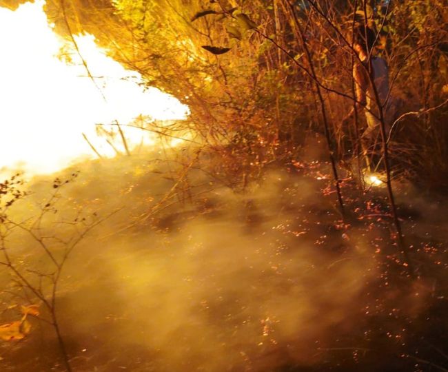 devprayag forest fire spread