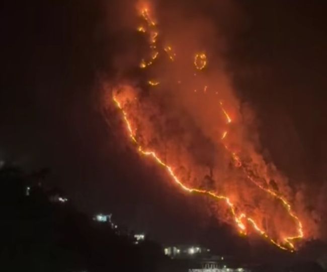 fire spread in forest chamoli