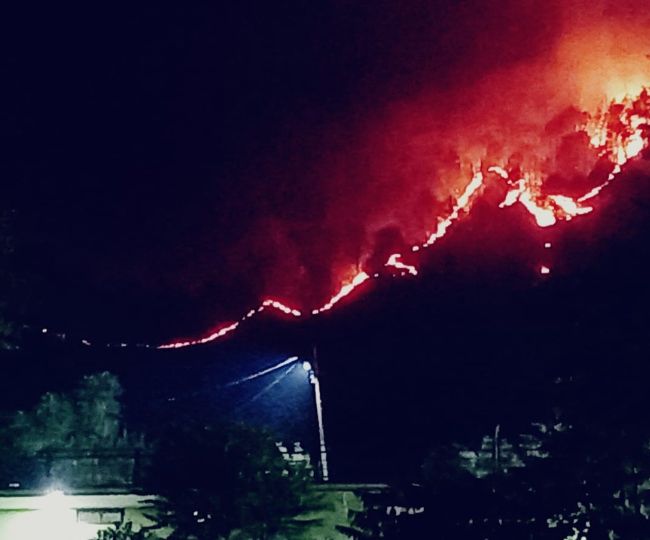 forest fire chamoli
