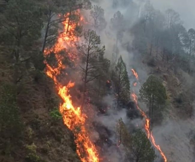 forest fire chamoli Uttarakhand