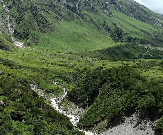 Valley of Flowers ready