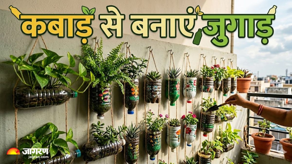 vertical garden
