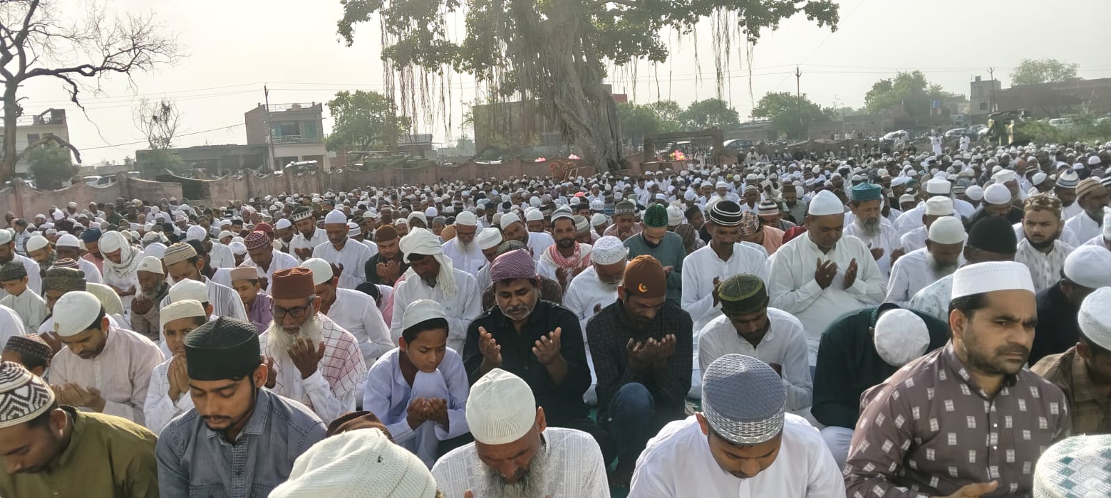 Bakrid Eid 2026 Updates Bakrid Eid 2026 Updates