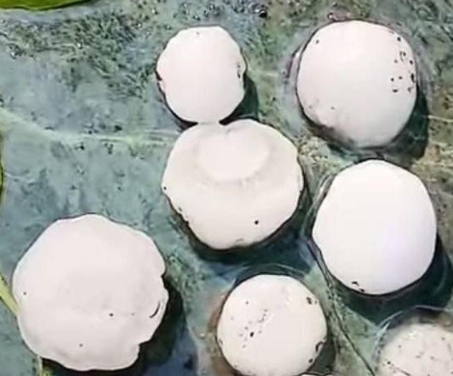 hailstorm wreaks havoc in pithoragarh