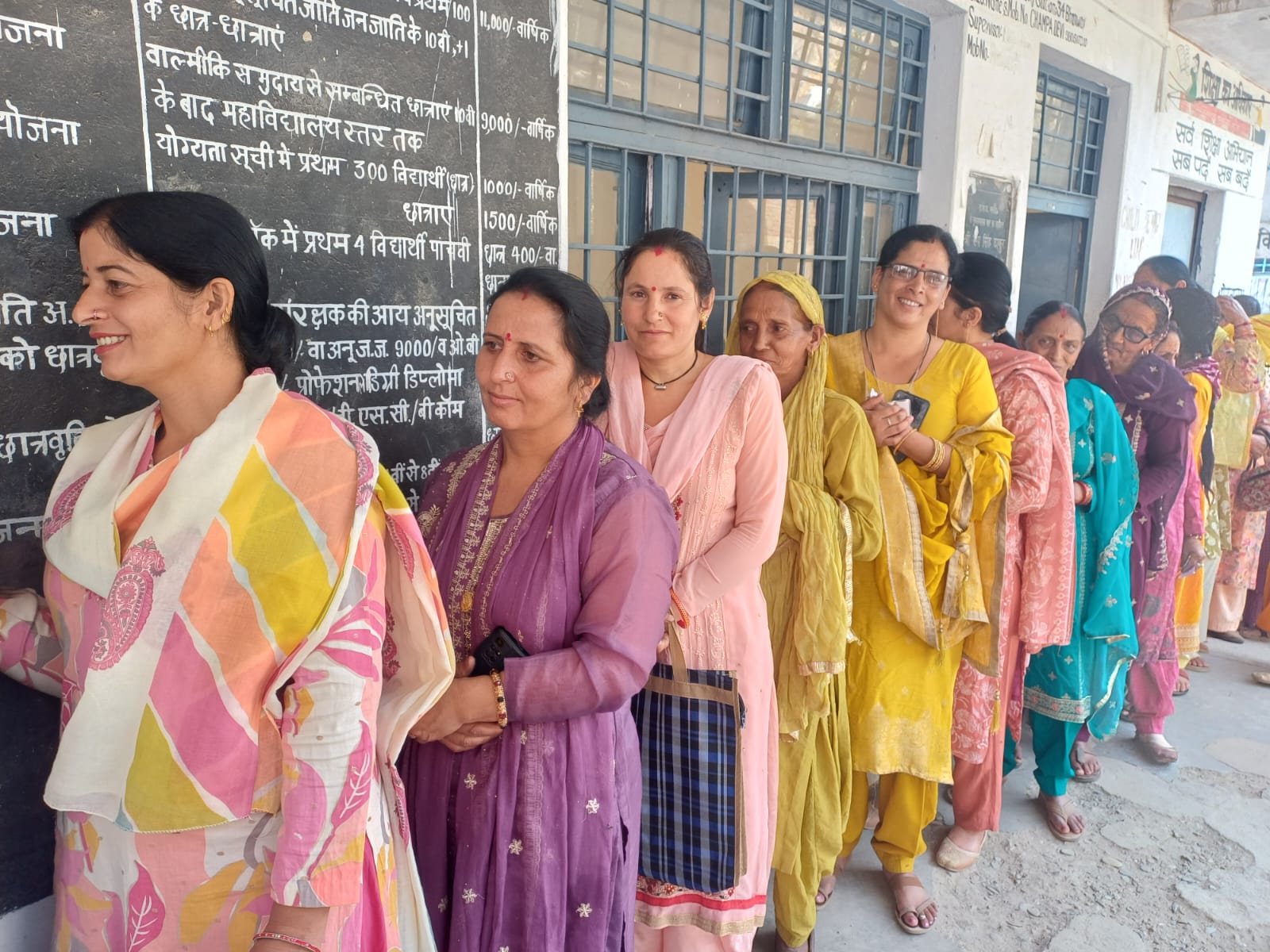 himachal elections