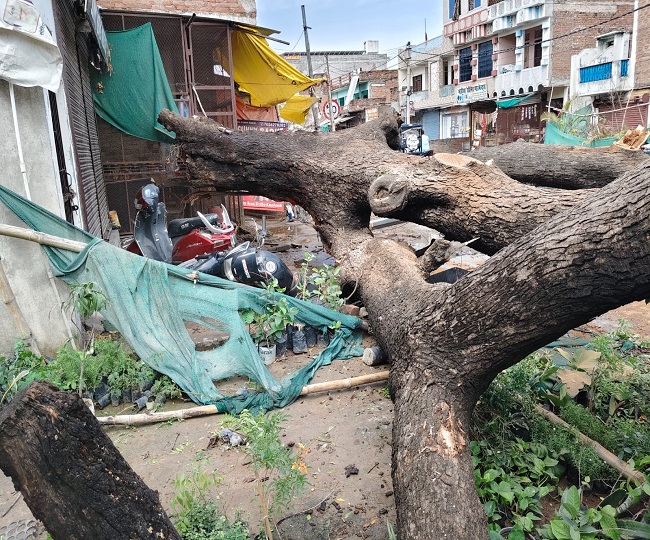 Kaushambi Rain and Storm Havoc