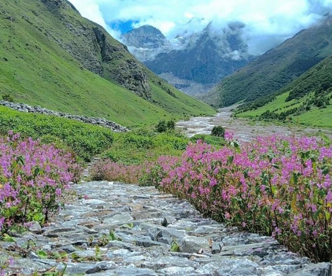 National Park Valley of Flowers in Chamoli
