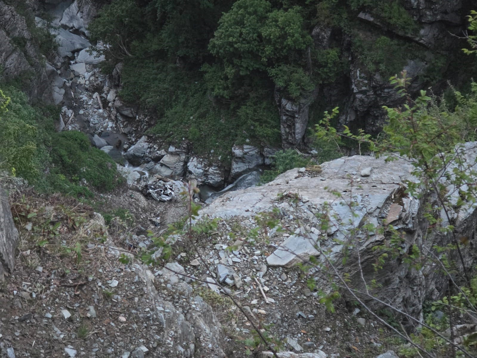 C-197-1-DHA1060-390476