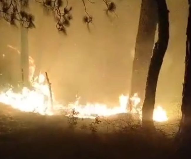 Nagrota Forest Fire 12