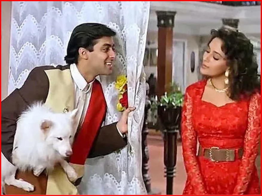 salman khan tuffy
