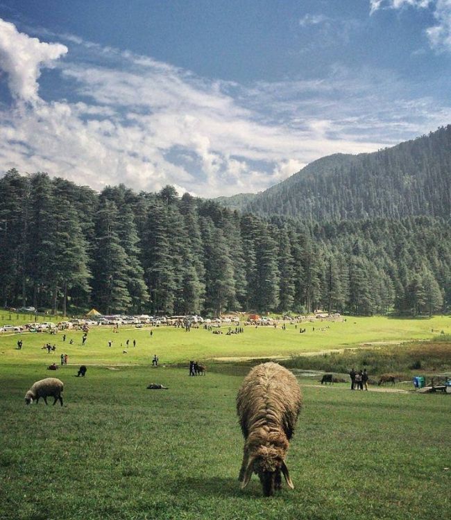 Khajjiar (6)
