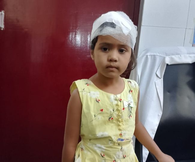 Girl Injured Injured in Leopard attack