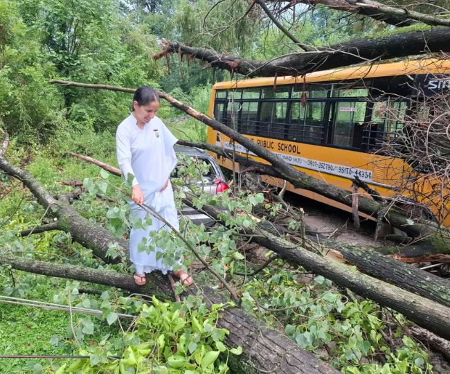 tree Fall School Bus 1