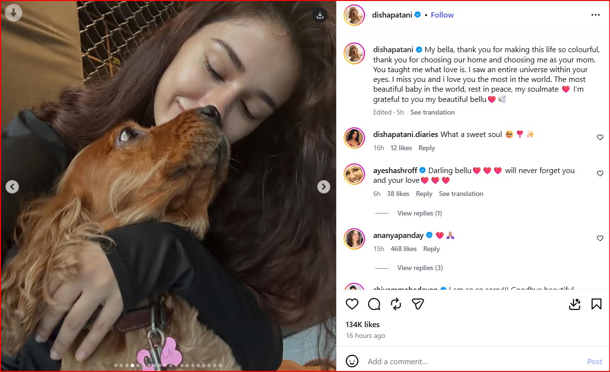 disha patani 1