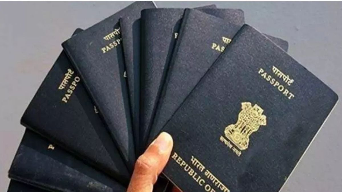 passport (3)