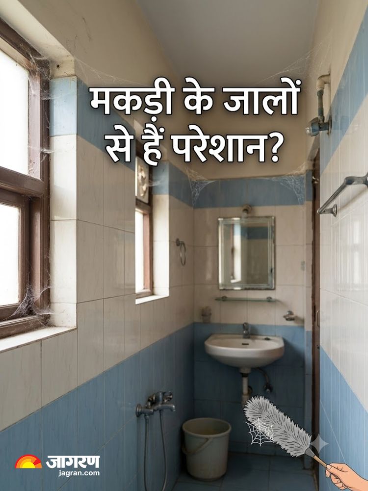 how to get rid of spiders in bathroom