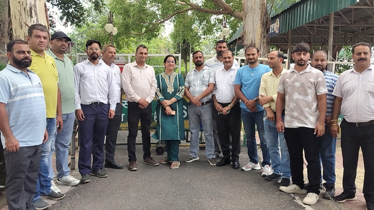 Border RS Pura