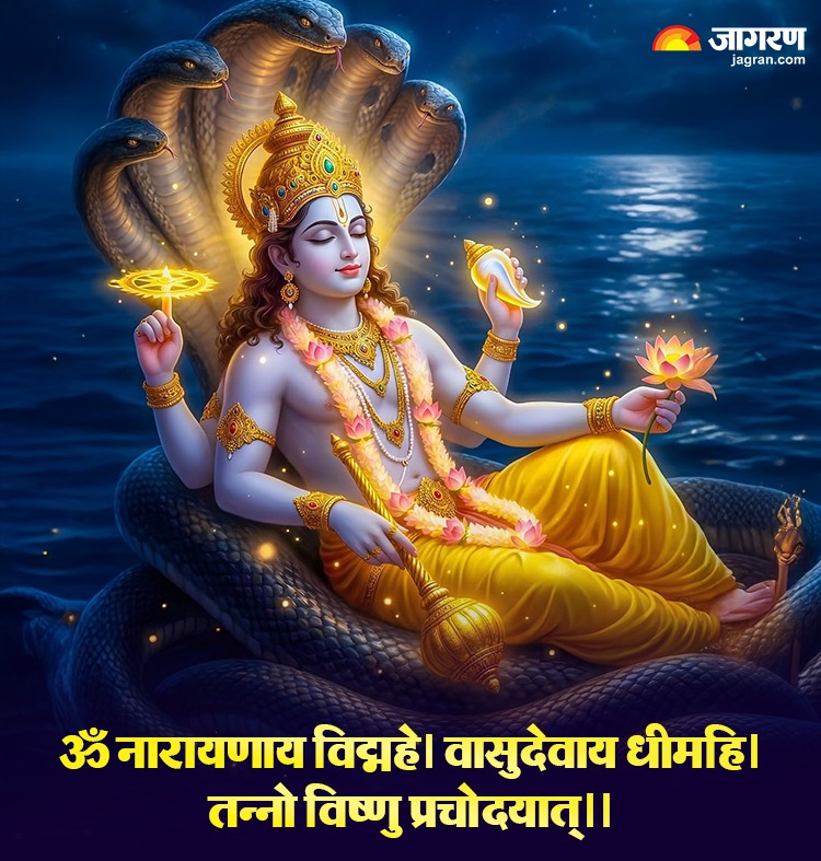 WhatsApp Image 2026-07-09 at 6.37.14 PM (1)