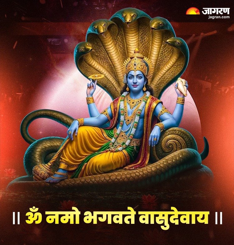 WhatsApp Image 2026-07-09 at 6.37.14 PM