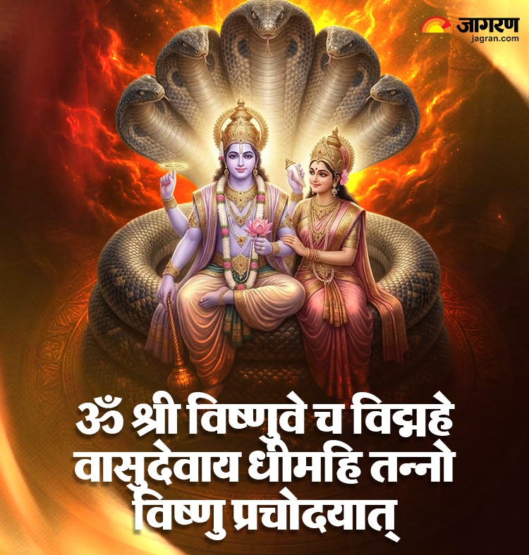 WhatsApp Image 2026-07-09 at 6.37.15 PM (2)