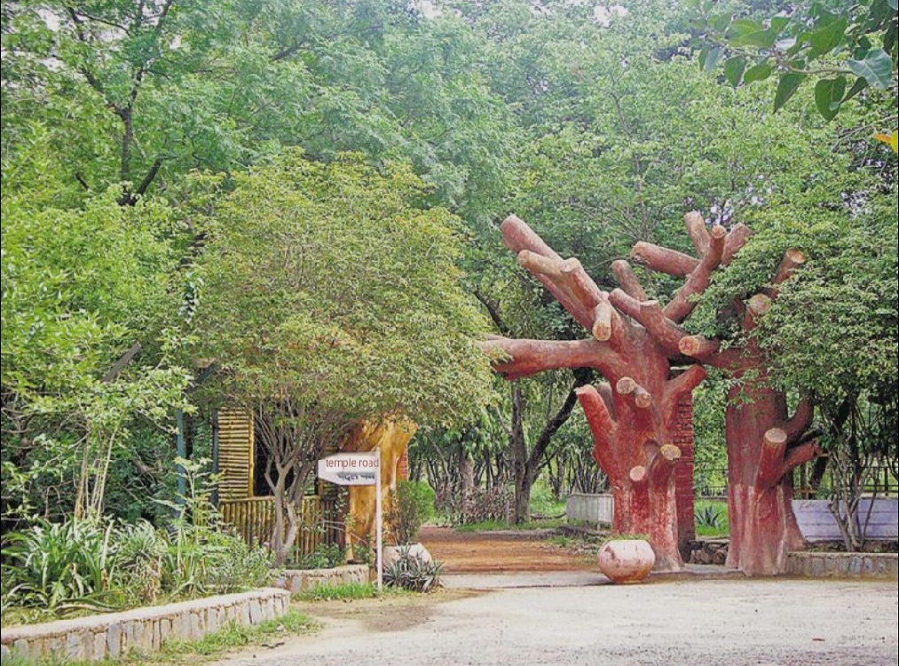 aravali-picnic-spot11