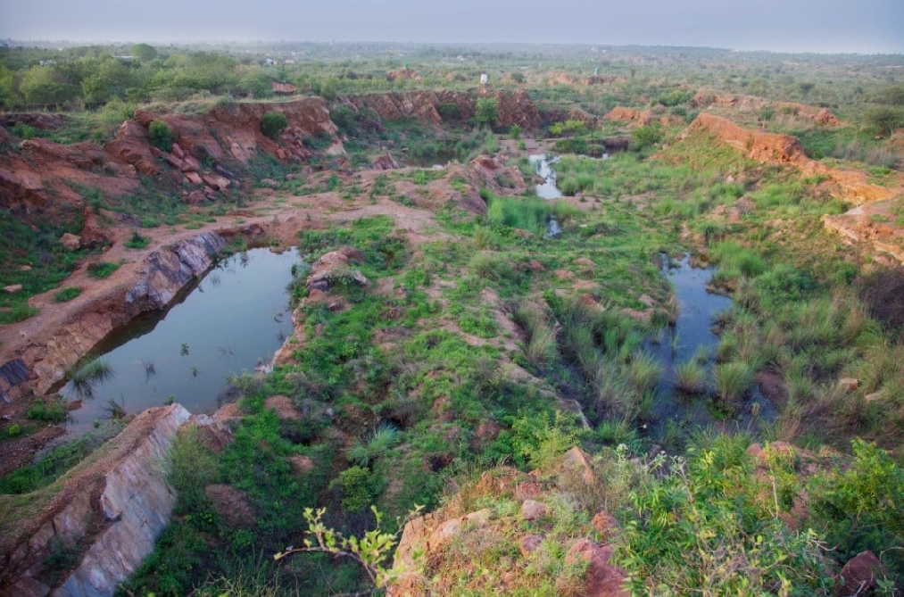 aravali-picnic-spot12