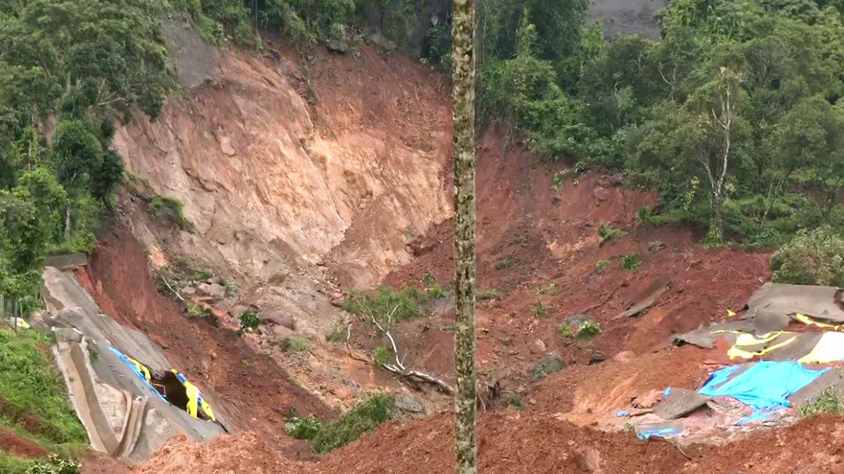 wayanad ani