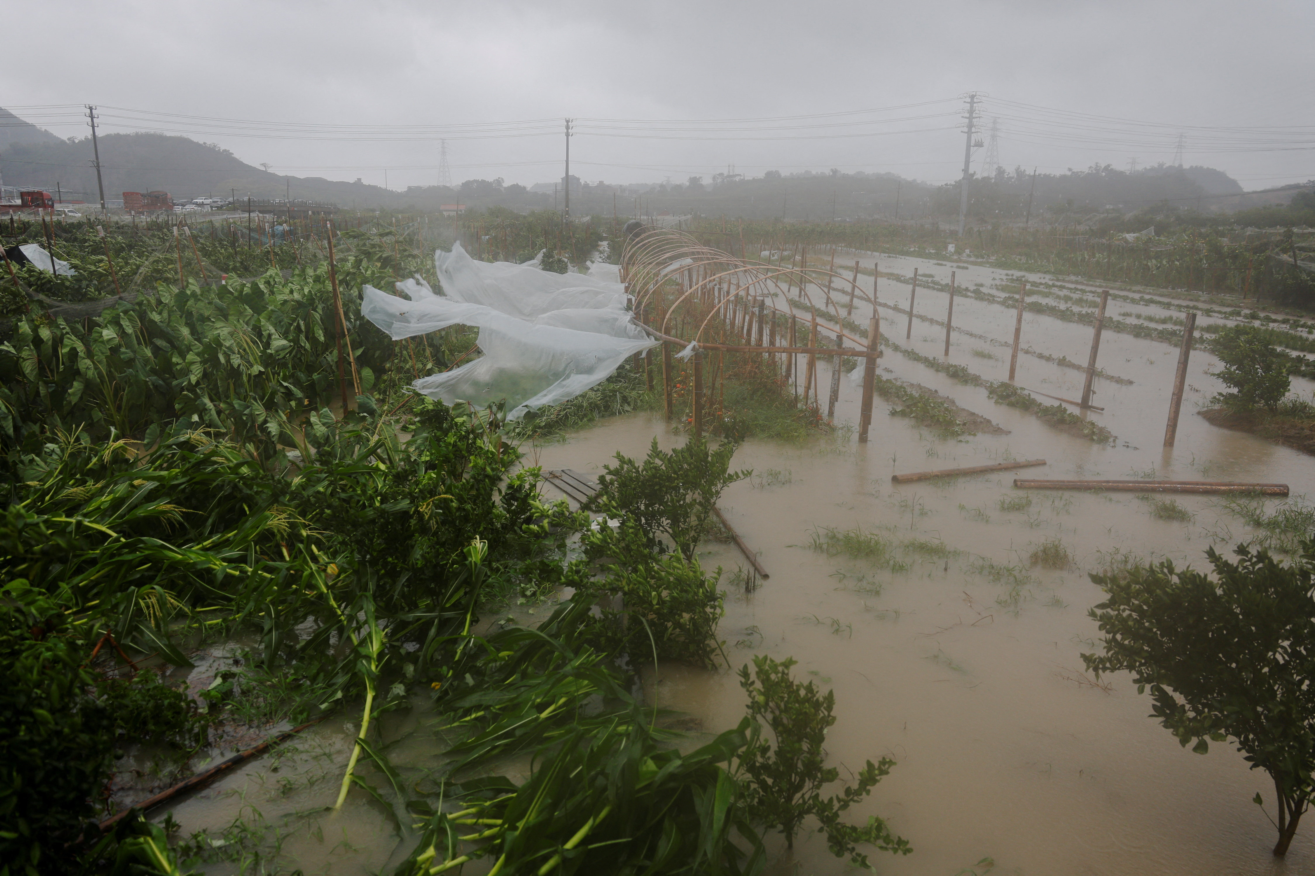 china typhoon bavi