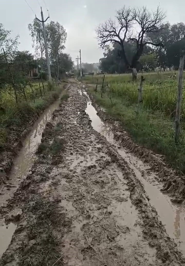 Banda Villagers Reach DM Office with School children Over Muddy Road Crisis