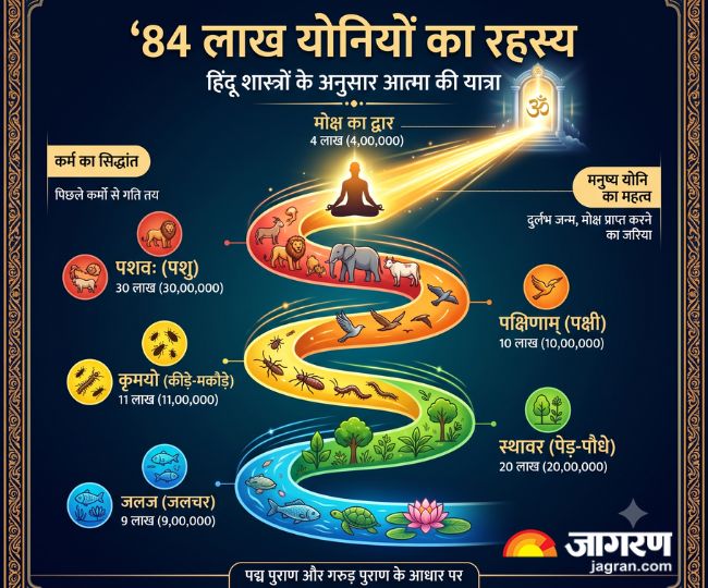 84 lakh yonis cycle padma purana and garuda purana secrets explained