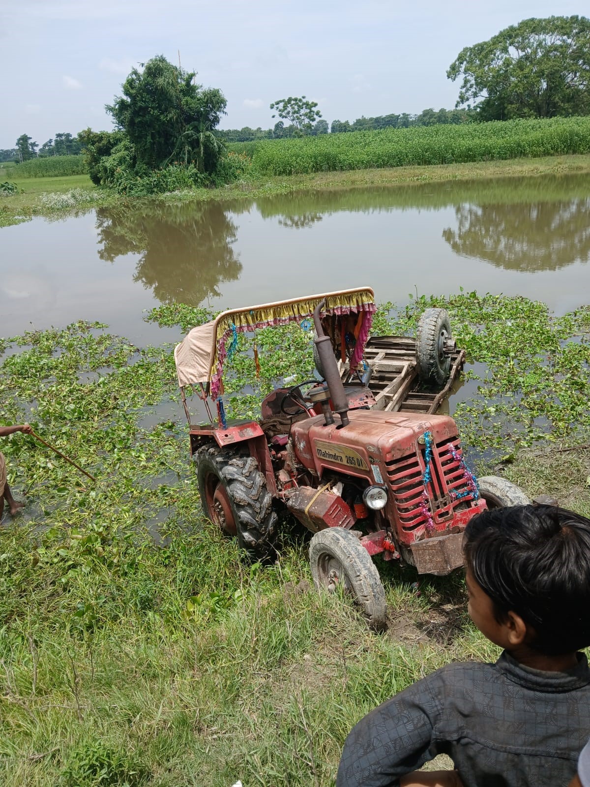 Araria